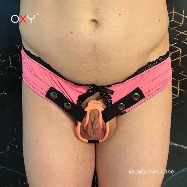 Sissy Lingerie Panties for Chastity Cages Online Hot Sale