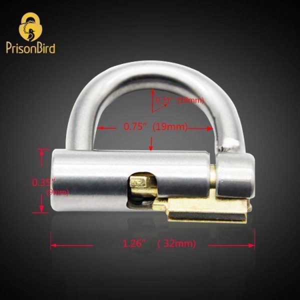 CH29 - Luxury PA Chastity Cage   Titanium PA Lock Supply - Image 5