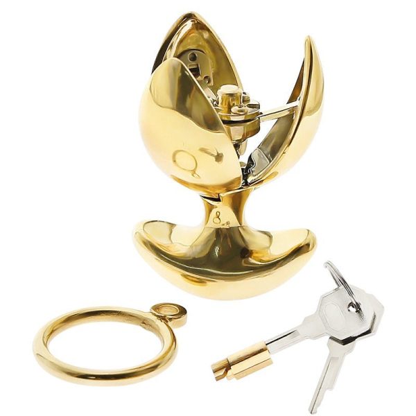 24K Gold Locking Butt Plug For Cheap - Image 5